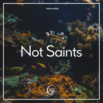 Various Artists - Not Saints (Explicit)