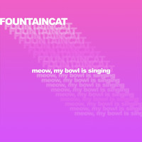 FOUNTAINCAT - meow, my bowl is singing