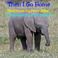 Peter Allan - Then I Go Home