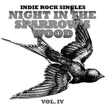 Various Artists - Night in The Sparrow’s, Vol. 4