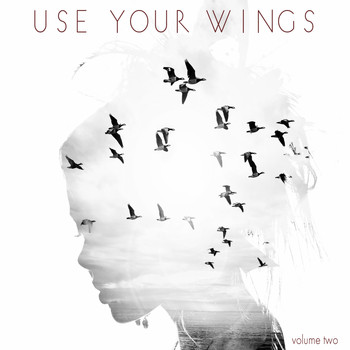 Various Artists - Use Your Wings, Vol. 2