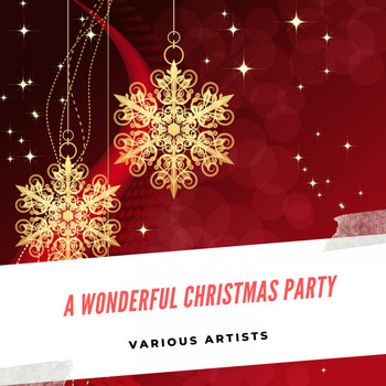 Various Artists - A wonderful Christmas Party