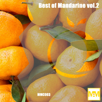 Various Artists - Best of Mandarine vol.2