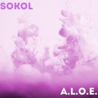 Sokol - A.L.O.E.