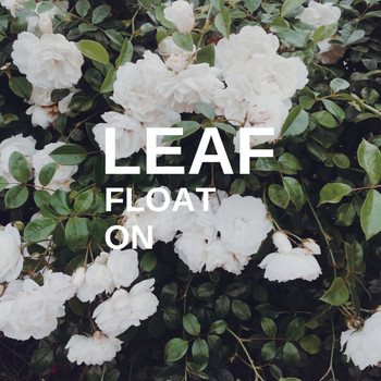 Leaf - Float On