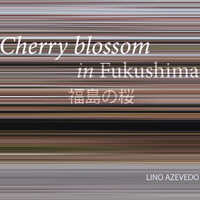 Lino Azevedo - Cherry Blossom in Fukushima