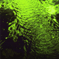 Warter - Circulation
