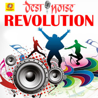 Shaan - Desi Noise Revolution