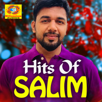 Salim - Hits of Salim