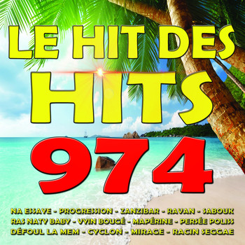 Various Artists - Hit des hits 974