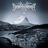 Borknagar - The Fire that Burns