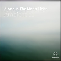 Ambient 11 - Alone In The Moon Light