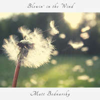 Matt Bednarsky - Blowin' in the Wind