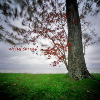 Background Noise From TraxLab - Wind Sound
