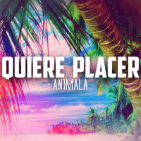 An1mala - Quiere Placer