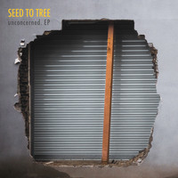 Seed to Tree - Unconcerned. Ep