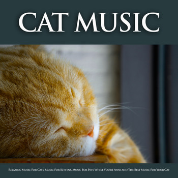 Cat Music, Music For Cats, Music for Pets - Cat Music: Relaxing Music For Cats, Music For Kittens, Music For Pets While You're Away and The Best Music For Your Cat