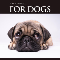 Dog Music, Music For Dog's Ears, Sleeping Music For Dogs - Calm Music For Dogs: Relaxing Background Music For Dog's While You're Away, Music For Pets and The Bets Dog Music