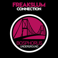 Freakslum - Connection