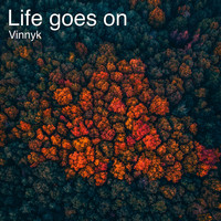 Vinnyk - Life Goes On