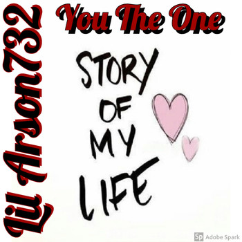 Lil Arson732 - You the One (Story of My Life) (Explicit)