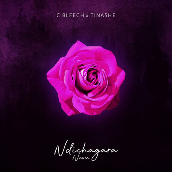 C. Bleech / Tinashe Nyangani - Ndachagara Newe