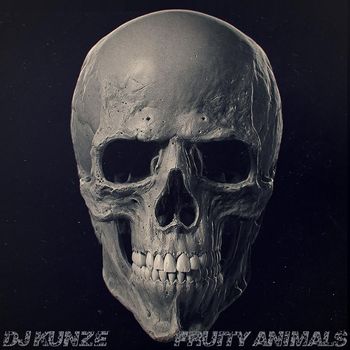 DJ Kunze - Fruity Animals