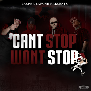 Various Artists - Cant Stop Wont Stop (Explicit)