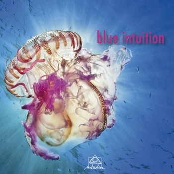 Various Artists - Blue Intuition