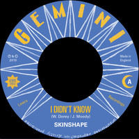 Skinshape - I Didn't Know (Extended Mix)
