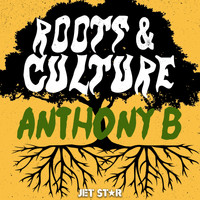 Anthony B - Anthony B: Roots & Culture