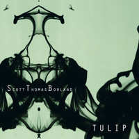Scott Thomas Borland - Tulip