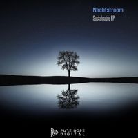 Nachtstroom - Sustainable EP