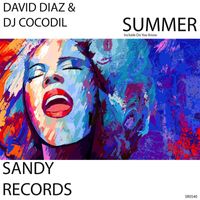 David Diaz, Dj Cocodil - Summer