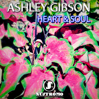 Ashley Gibson - Heart & Soul