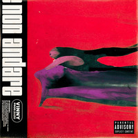 Vinny - Non andare