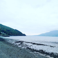 David Rovics - Live in Rostrevor (Explicit)