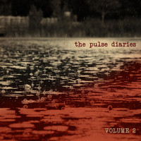 The Pulse Diaries - The Pulse Diaries, Vol. 2