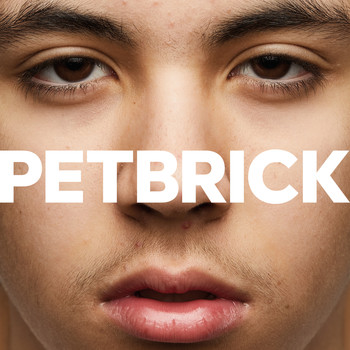 Petbrick - Radiation Facial