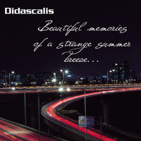 Didascalis - Beautiful Memories of a Strange Summer Breeze...