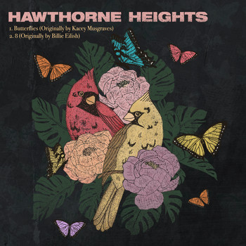 Hawthorne Heights - Dads of Sad