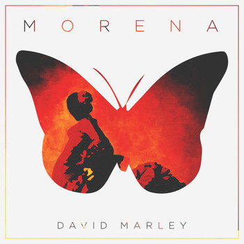 David Marley - Morena