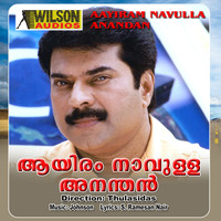 Johnson - Aayiram Navulla Anandan (Original Motion Picture Soundtrack)