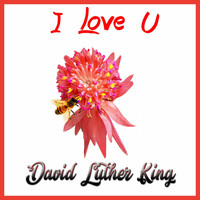 David Luther King - I Love U