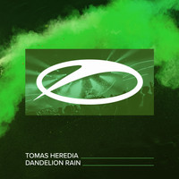 Tomas Heredia - Dandelion Rain