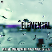 Robert Musso - Elemental