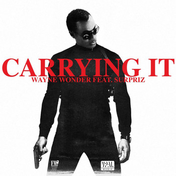 Wayne Wonder - Carrying It