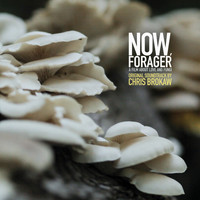 Chris Brokaw - Now, Forager (Original Motion Picture Soundtrack)