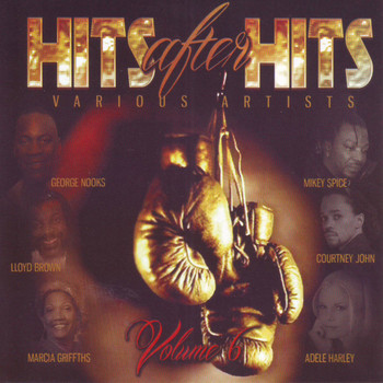 Various Artists - Hits After Hits Vol. 6