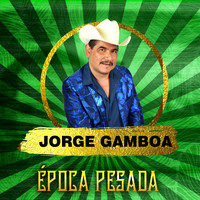 Jorge Gamboa - El Dr. Fonseca (Época Pesada)
